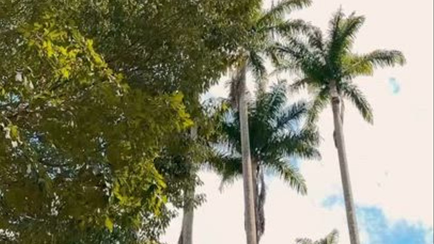 Fazenda Santa Bárbara