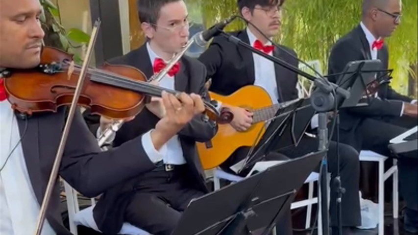 Música Hallelujah 