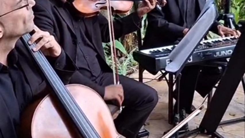 Música ( Marcha Nupcial + Perfect )