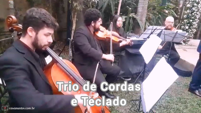 Músicos Para Cerimônias