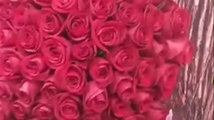 Buquê 100 Rosas