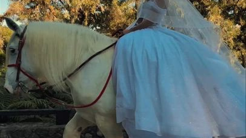 Casamento Thalia e Renan 