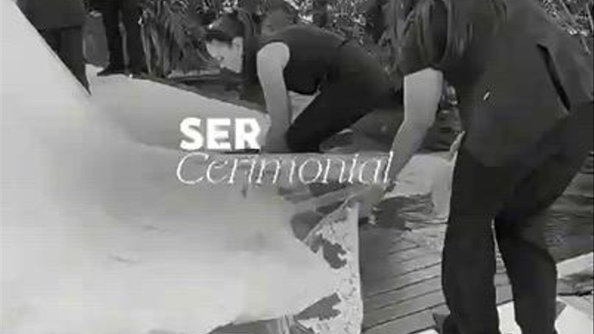 Ser Cerimonial