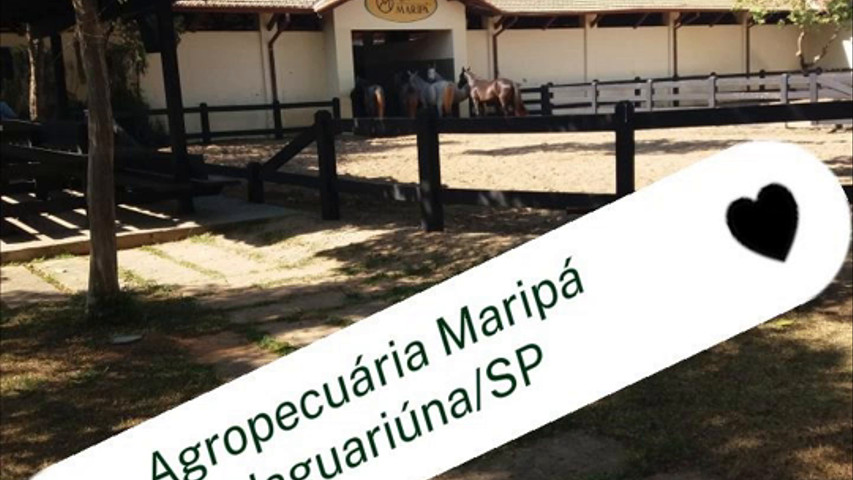 Locação em Fazenda Maripá - Jaguariúna