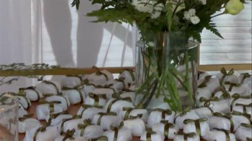 Kelly Camara Décor