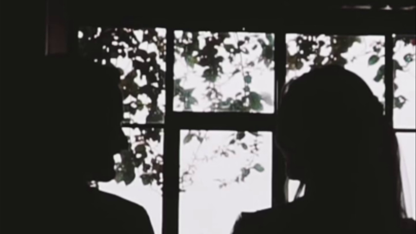 Opinião de Luíza & José 