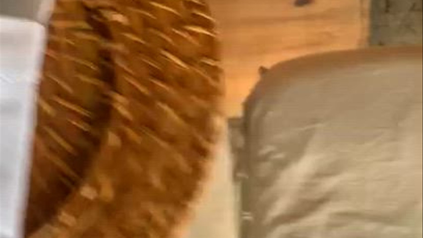Espaço Vila da Serra - Casa de Eventos