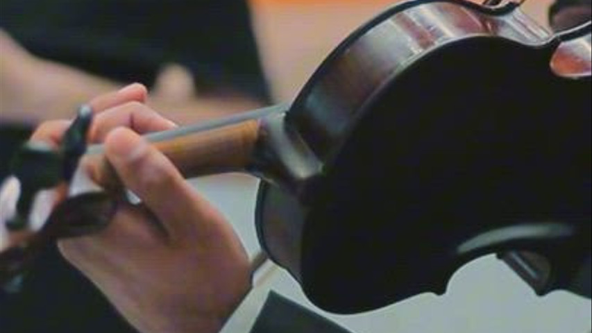 Lucas Ribeiro Violinista