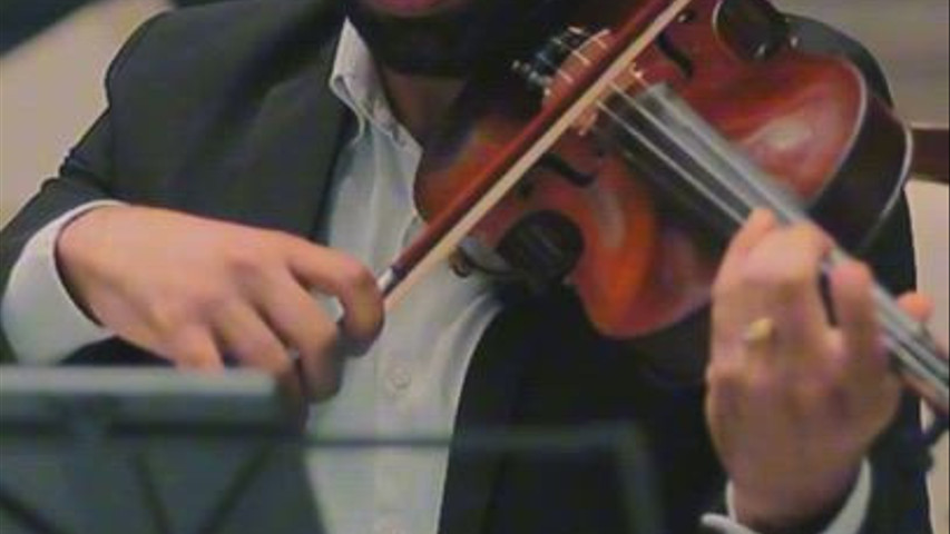 Lucas Ribeiro Violinista