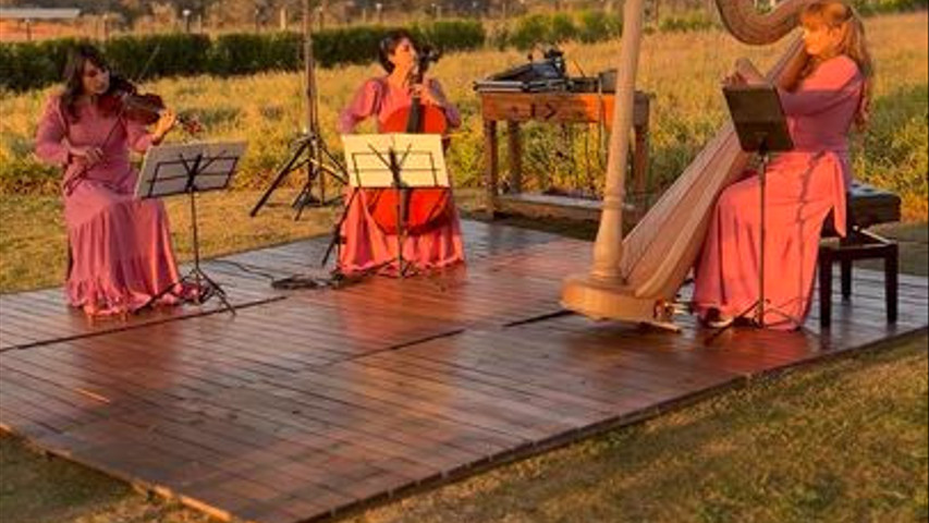 Trio de Cordas Merlín 