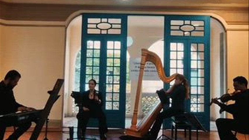 Harpa Merlín - quarteto para casamento 
