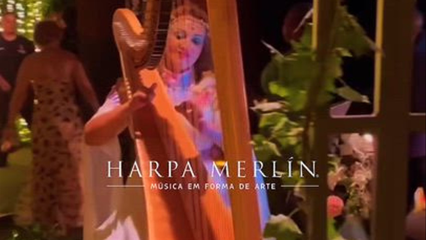 Harpa para casamento e recepção 