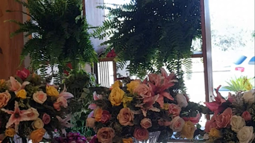 Flor de Cor