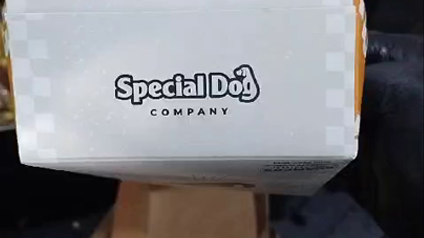 Evento corp special dog