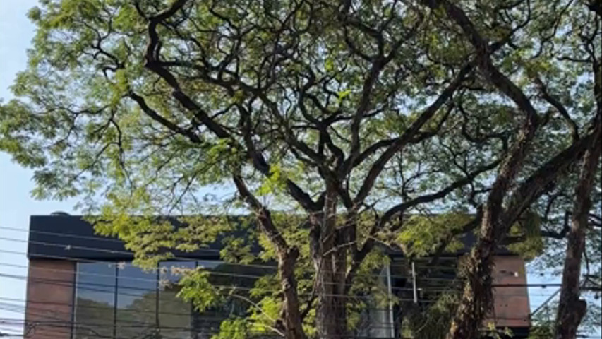 Essa é a nossa casa Sym!