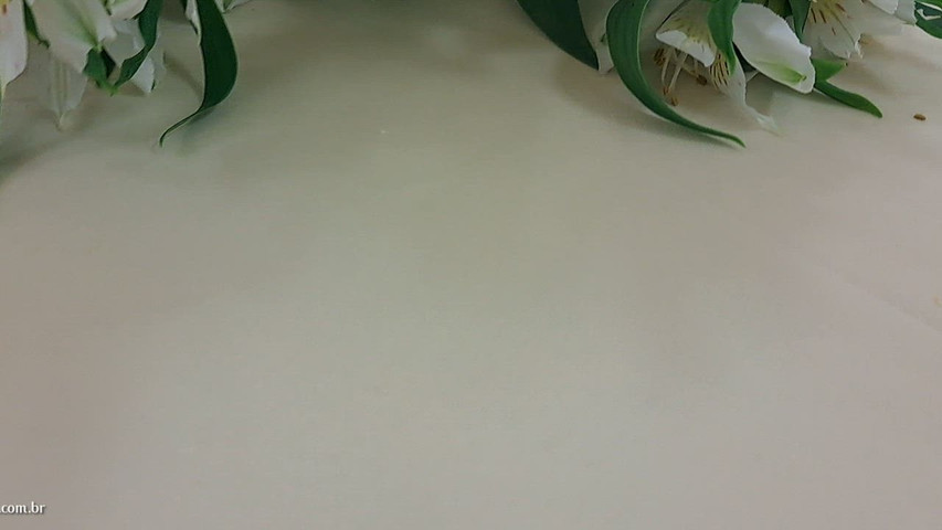 Buffet Inovação