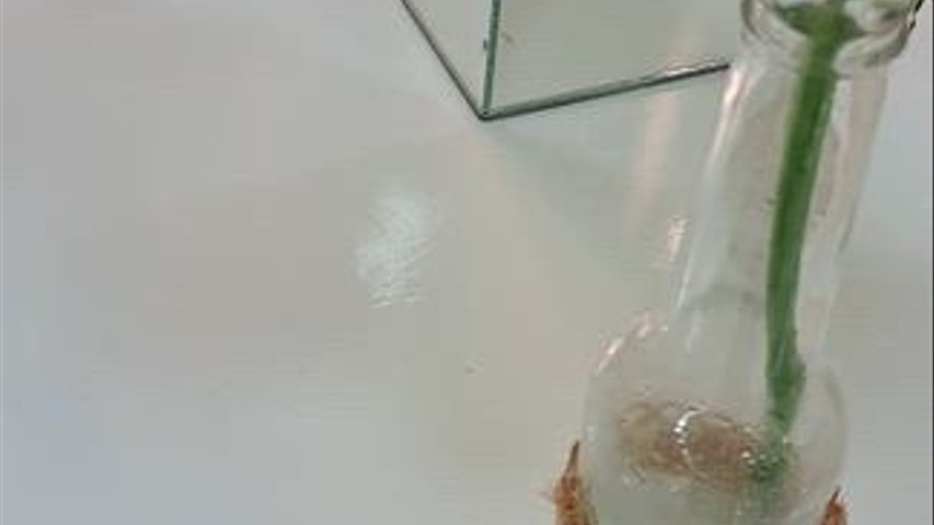 Buffet Inovação