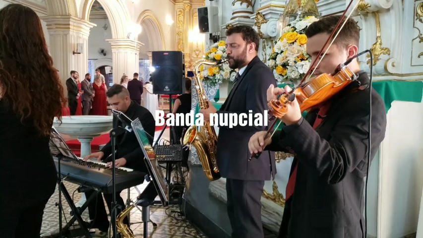 Magica violino