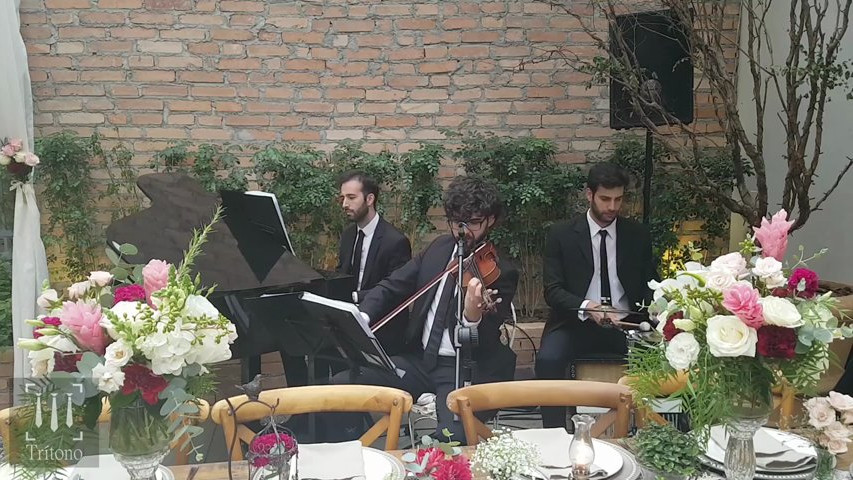 Perfect ed sheeran casamento casa quintal mini wedding grupo tritono