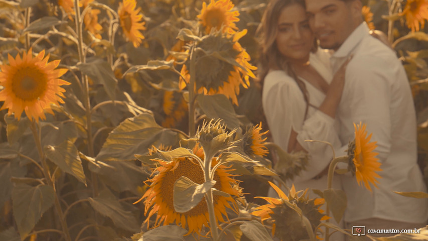 Pré Wedding Holambra