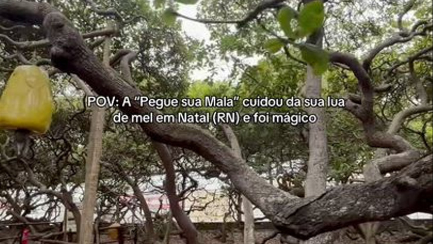 Experiência de lua de mel
