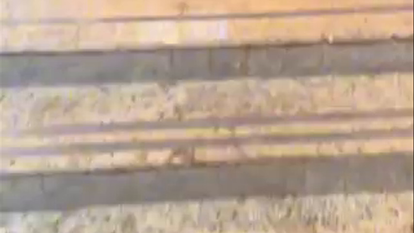 APRESENTAÇÃO DA CASA