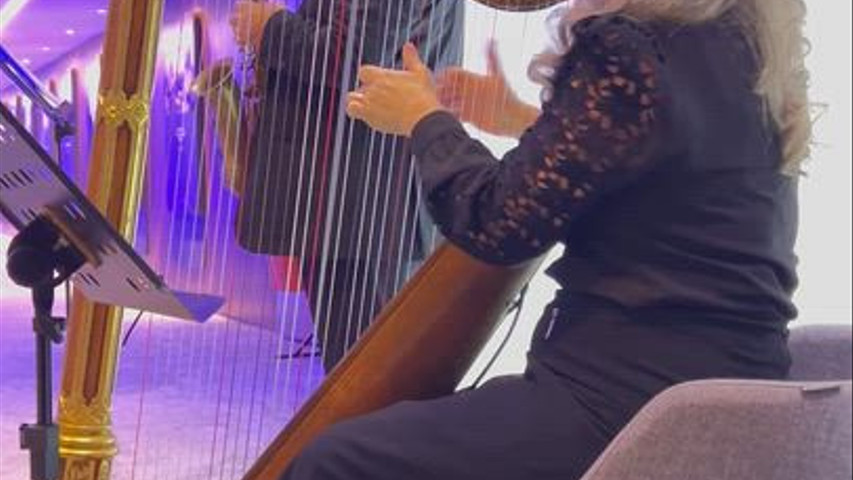 Harpa e Sax - Duo