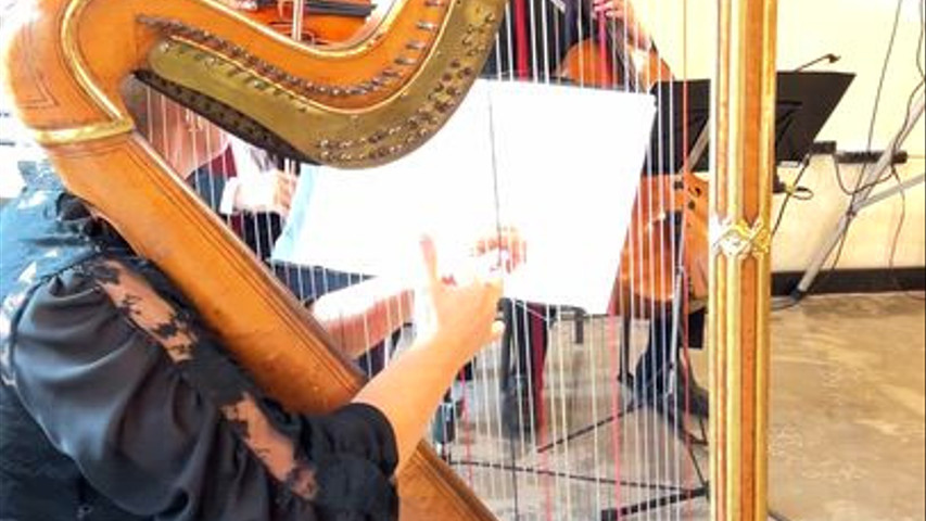 Musica para cumprimentos 