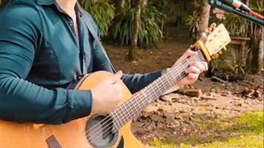 Voz e Violão 