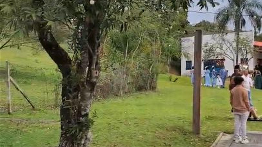Tarde de cerimônia 