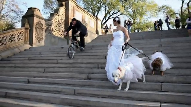 Trash the dress