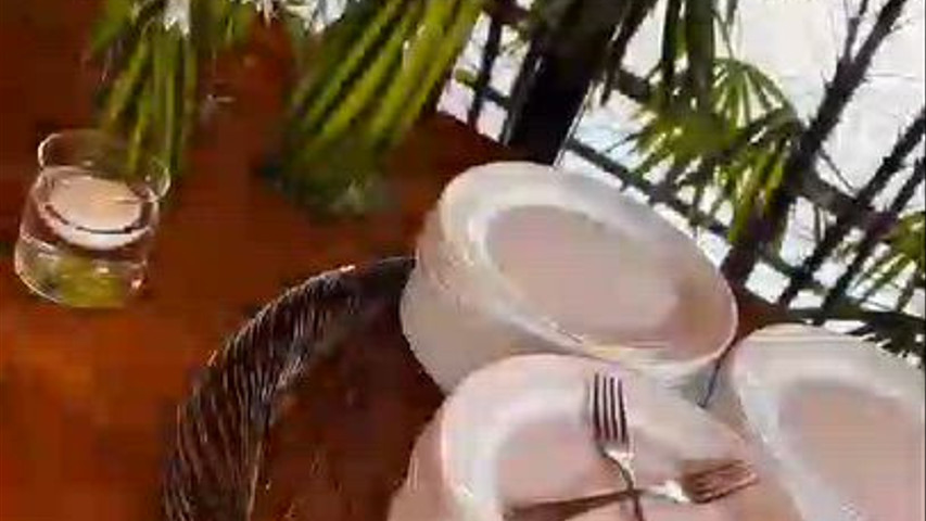 Braz Festa 