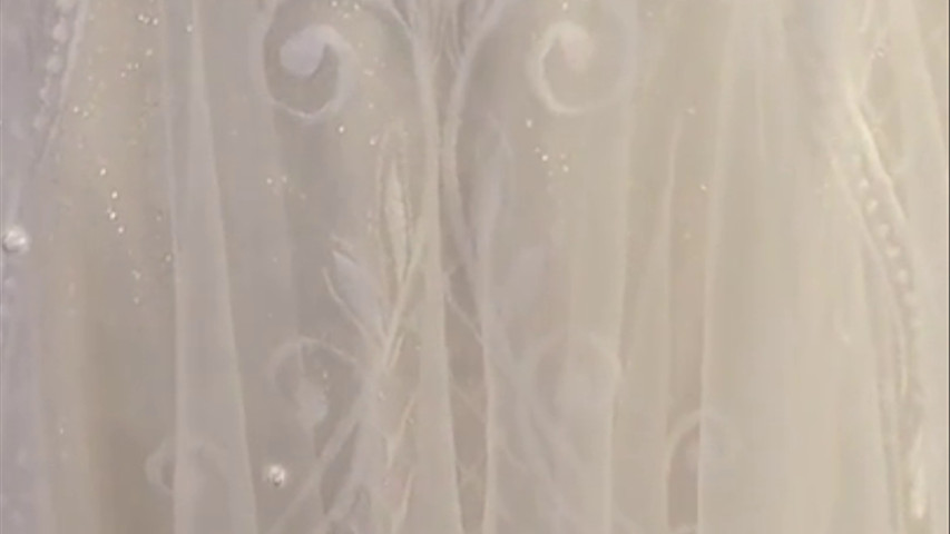 Detalhes de um vestido de noiva 