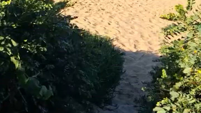 Casamento na praia