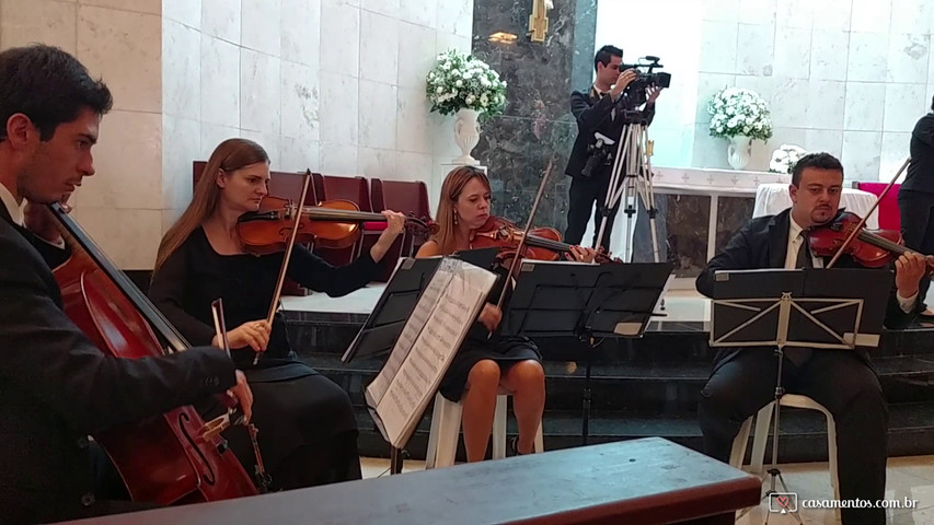 Quarteto de cordas