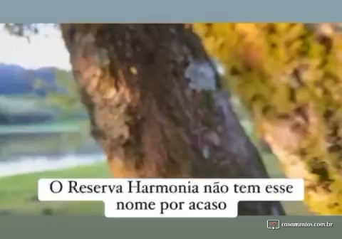 O Reserva Harmonia não tem esse nome por acaso!
