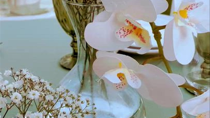 Vizzano Decor 