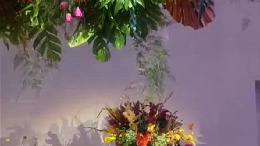 Mello´s Eventos 