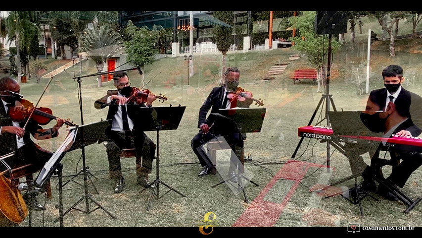 Le festin ratatouille quarteto de cordas e piano elegance musical 