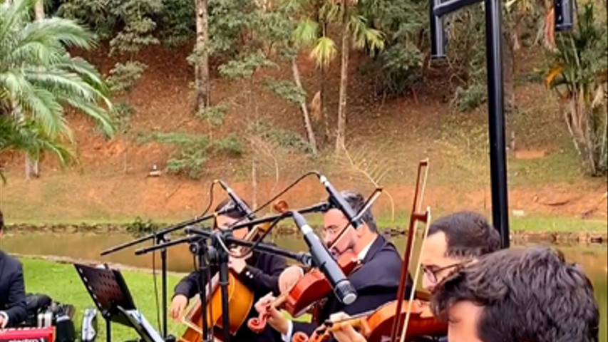 Escolhi te esperar (quinteto) quarteto de cordas e piano - Elegance musical 