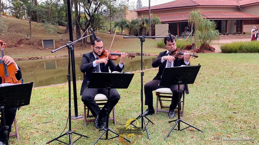 Love of my live (quinteto) quarteto de cordas e piano - Elegance musical