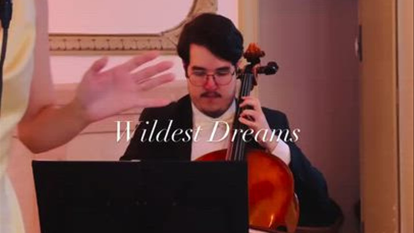 Wildest Dreams