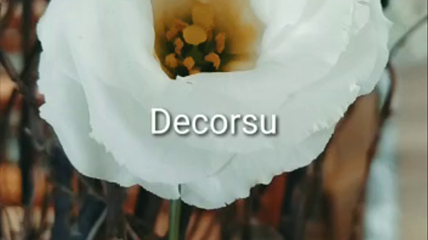 Decorsu Decorações 