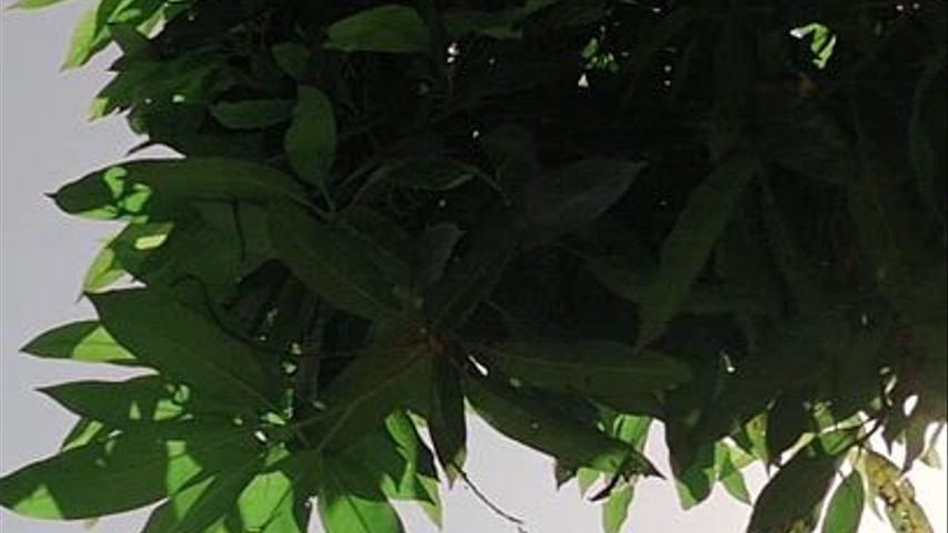 Espaço Fazenda Paradiso