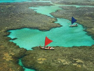 Lua de mel em Porto de Galinhas: destino para amantes da praia
