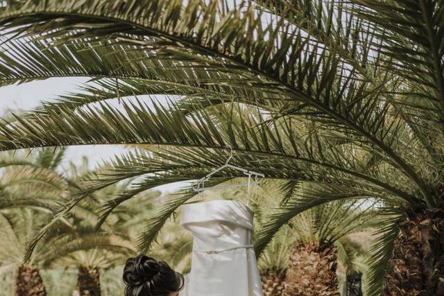 O casamento de Aretusa e Julio 3