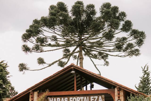 O casamento de Marcus e Andressa 3