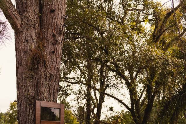 O casamento de Fernanda e Felippe 2