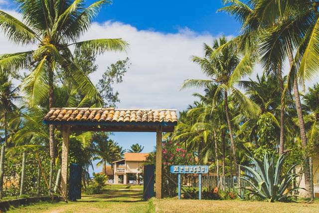 O casamento de Thais e Josh 3