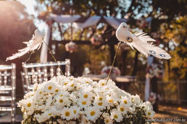 O casamento de Ana e Euller 2